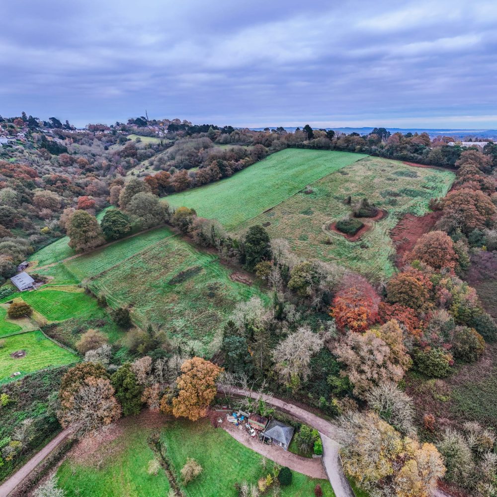 exeter habitat bank