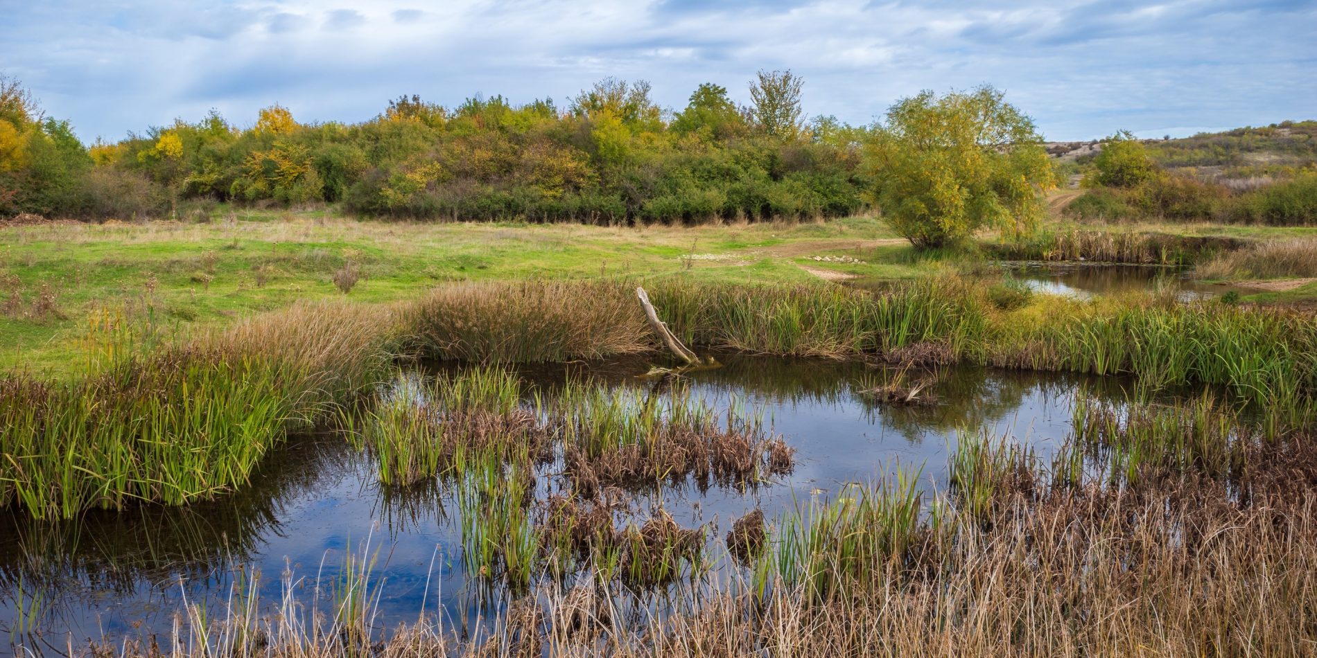 Nature solutions wetland