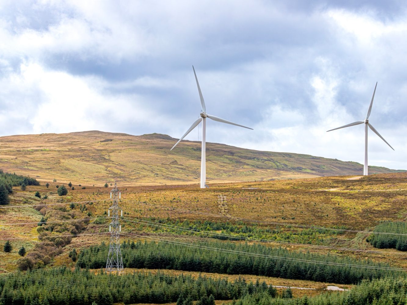 Nsips freasdail wind farm